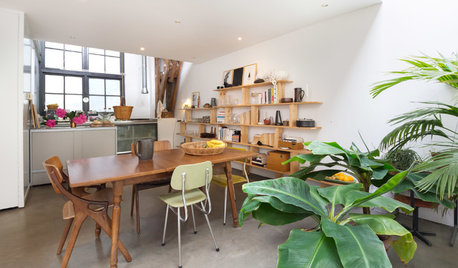 My Houzz: A Light-filled Live-work Space in a Former Factory