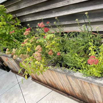 Manhattan Roof Garden