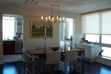 Inspiration for a contemporary dining room remodel in New York
