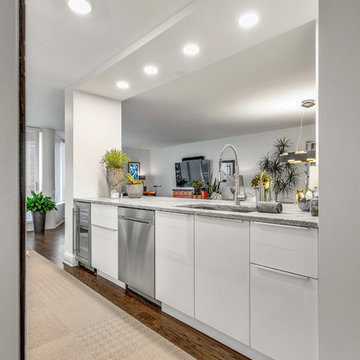 Evanston Condo Remodel