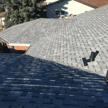 Shingle Roofs