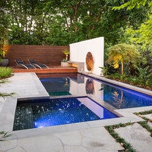FL Backyard Pool