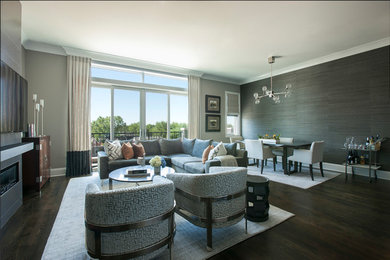 Transitional living room photo in Chicago