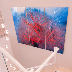Electricity - Photographs