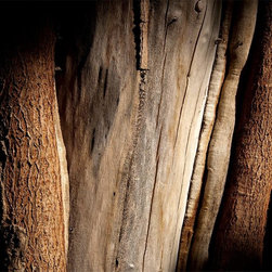 Wood Flooring - Hardwood Flooring