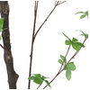 Monadnock Artificial Enkianthus Tree, Green, 31.5wx31.5dx51.1h