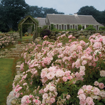 Traditional Landscape