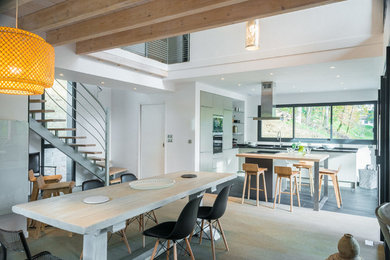 Aménagement d'une salle à manger contemporaine.