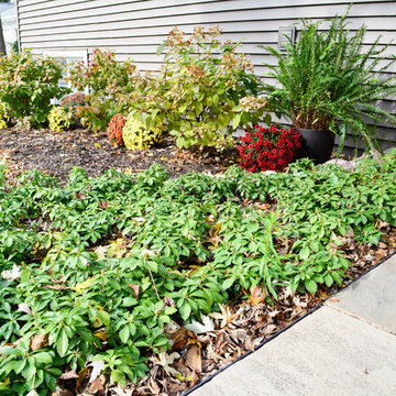 Palatine Front Walkway Blue Stone & Plant Installation