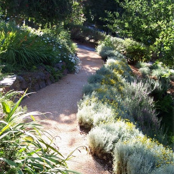 Landscape Design & Installation