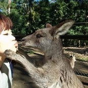 Foto di Minheart Lo