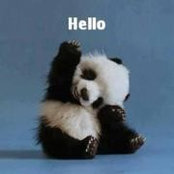 Foto von Denise Watson