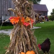 Joann Brown's photo