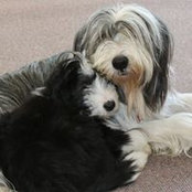 Sonja Blanchard's photo