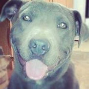 Chato Perez's photo