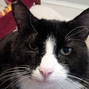 Linda Meyer's photo