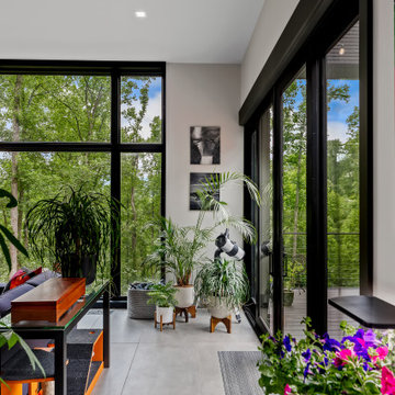 Wandering Oaks Modern