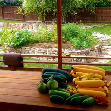 Backyard garden