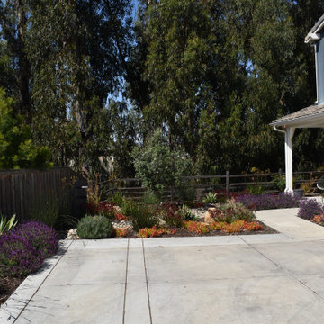 Mediterranean Dry Creek