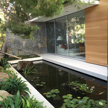 Pond Ideass
