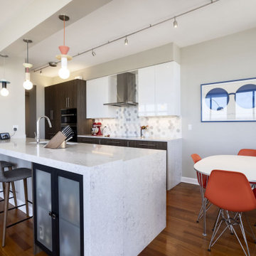 South Loop Highrise Kitchen Renovation