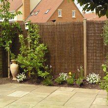 Landscape Ideas