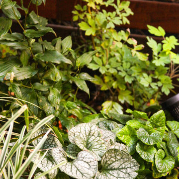 Brooklyn Glam Garden