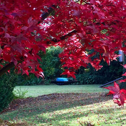 Autumn Nest Swing - Swings & Playsets