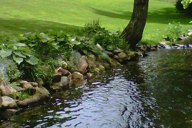 Design ideas for a transitional landscaping in Boston.
