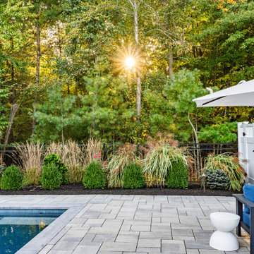 North Reading Backyard Pool Oasis