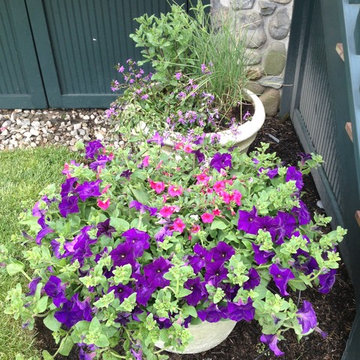 Seasonal Container Plantings & Changeovers