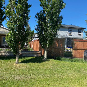 Bearspaw Fence rebuild