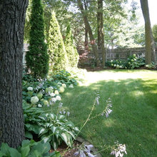 Landscape Ideas