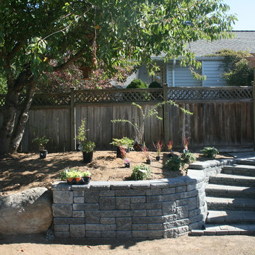 New Side Yard Patio