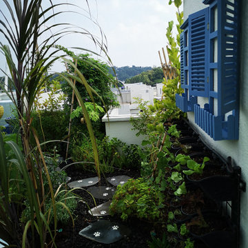 Open rooftop edible garden