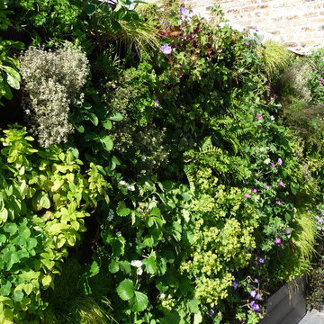 Courtyard Garden - Green wall detail