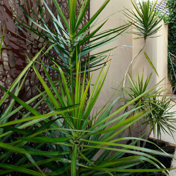 Courtyard Mt Pleasant