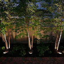 trees