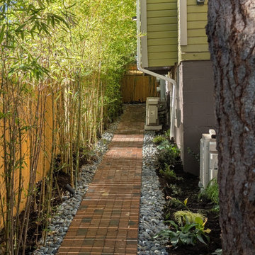 South Seattle Backyard