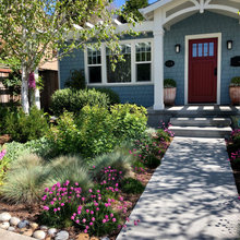 Madeline front yard