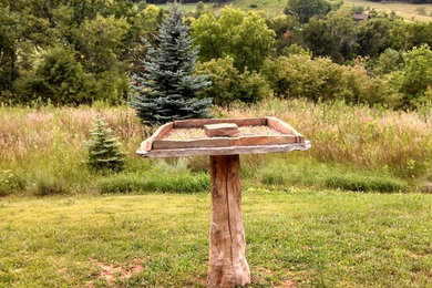 Design ideas for a mid-sized landscaping in Omaha for winter.