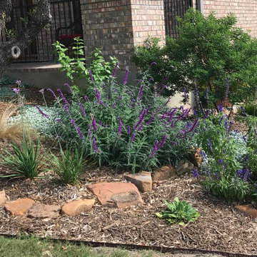 Various Xeriscapes by Team Rhinamic