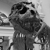 Brian Linhoff's photo