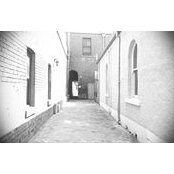 Tracey Stevens's photo