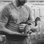 Photo de Philippe Beaudoin