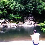 Vincent van der Lee's photo