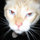 alexis_dowding