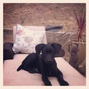 Todd Burns's photo