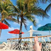 Tracy Rodriguezさんの写真