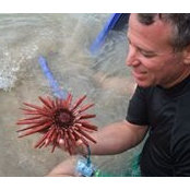 Nicolas Hynes's photo